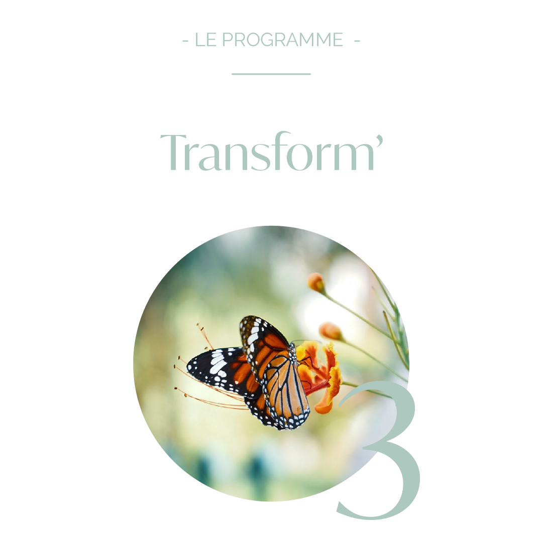 transform